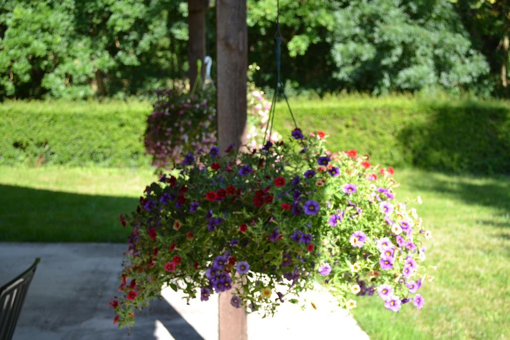 Le Moulin De Lusseau Bed & Breakfast Chef-Boutonne Exterior photo